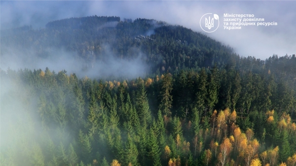 Україна приєднується до Конвенції про Європейський інститут лісу